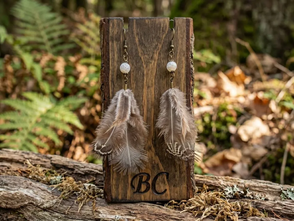 BC-0152.S2.webp
