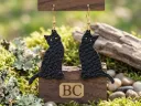 BC-0042