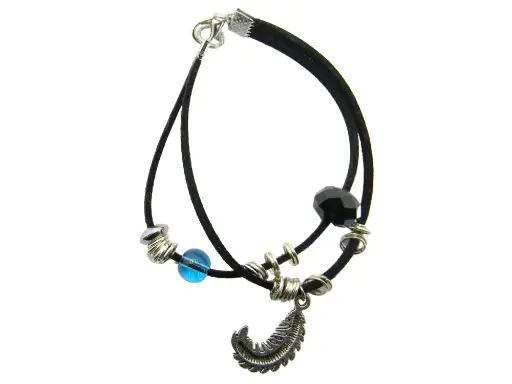 BR-0095